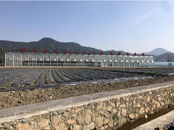 湖南農(nóng)業(yè)水肥一體化灌溉,湖南別墅庭院智能灌溉,長沙沁園灌溉有限公司,湖南足球場噴灌,長沙足球場噴灌,足球場噴灌,足球場灌溉,長沙足球場灌溉,湖南足球場灌溉