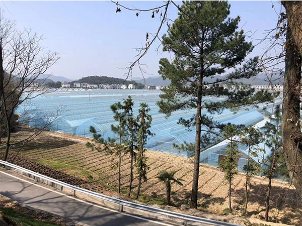 湖南農(nóng)業(yè)水肥一體化灌溉,湖南別墅庭院智能灌溉,長沙沁園灌溉有限公司,湖南足球場噴灌,長沙足球場噴灌,足球場噴灌,足球場灌溉,長沙足球場灌溉,湖南足球場灌溉